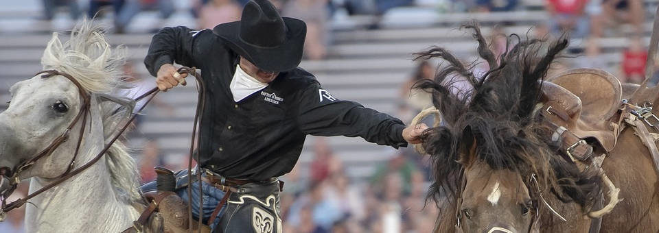 Modern Cowboy: Are American Cowboys a Vanishing Breed?